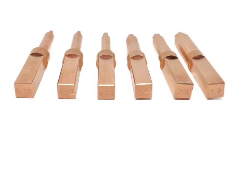 CBT Tulips 6 Piece